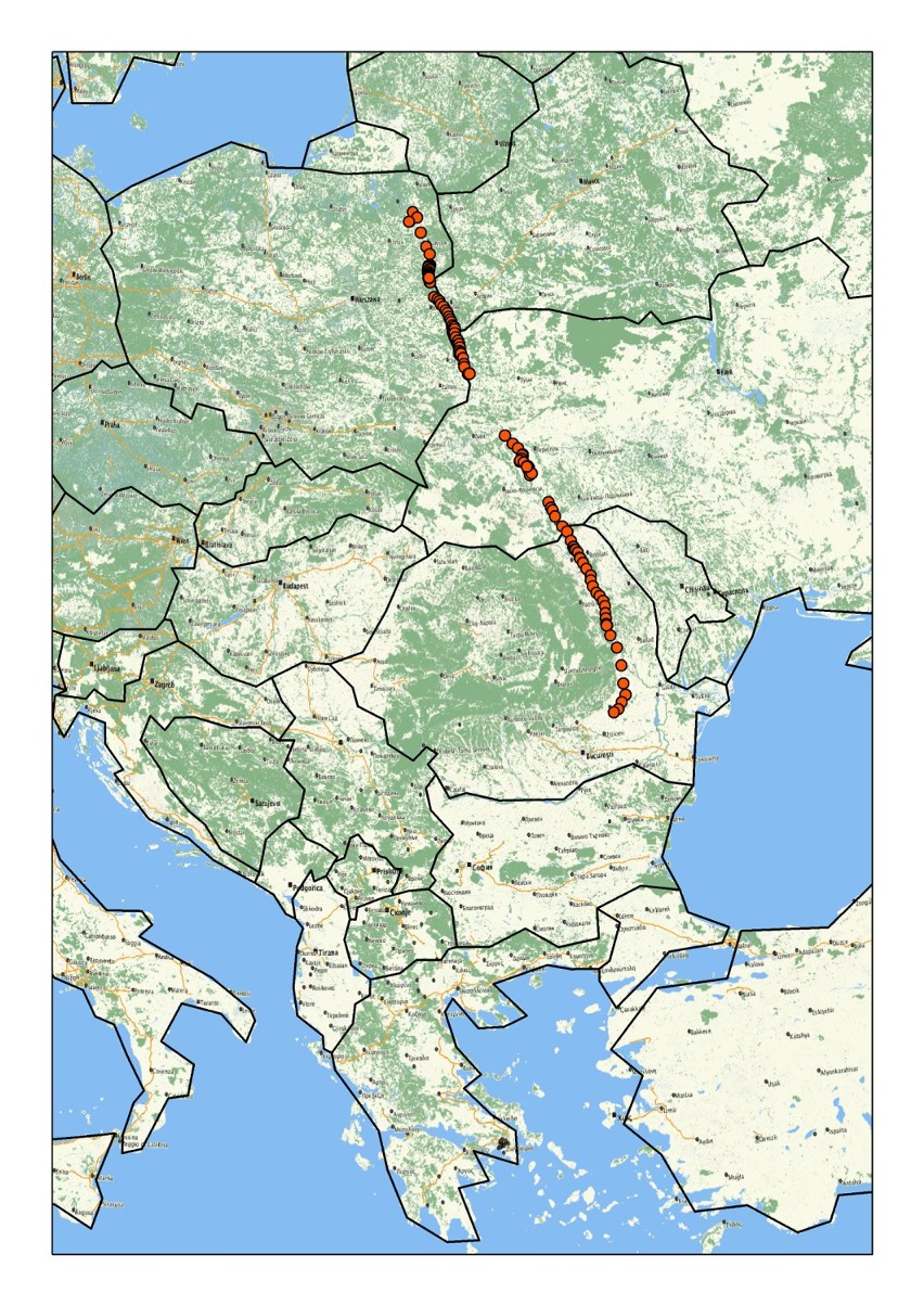 Mapa wędrówki zaginionego w Rumuni bociana.