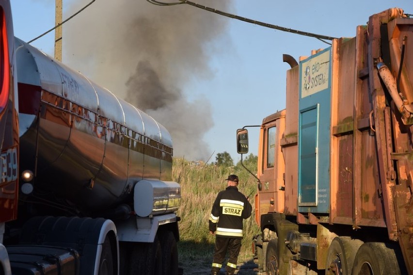 Pożar wysypiska śmieci w Mostkach koło Zduńskiej Woli [ZDJĘCIA I FILM] aktualizacja