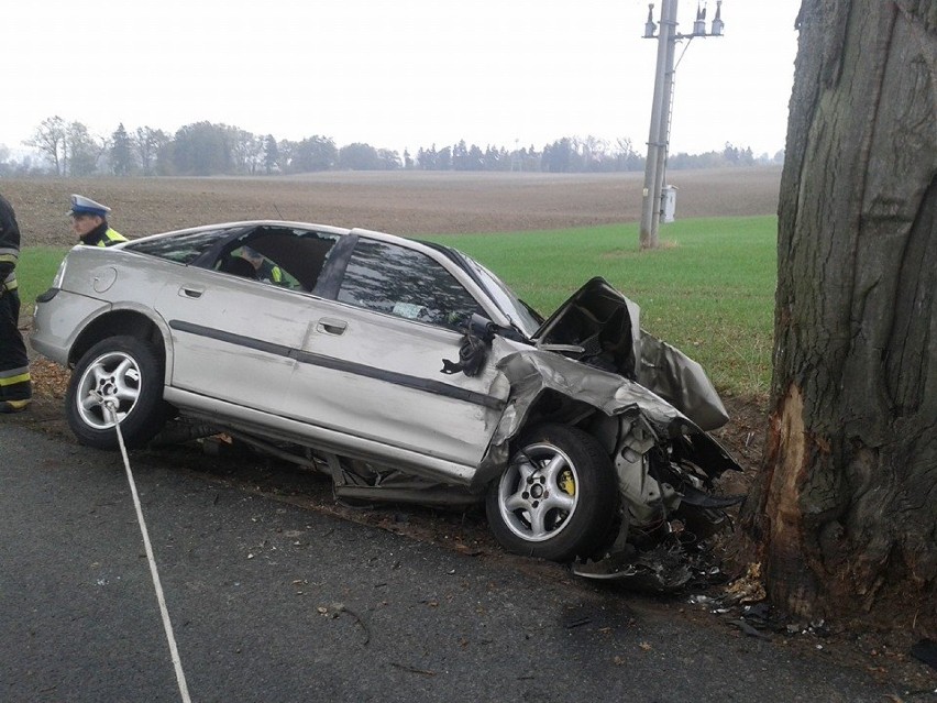 Michorowo,gm. Sztum. Uderzył w drzewo