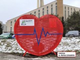 W Będzinie plastikowe nakrętki możemy wrzucać już do ośmiu czerwonych serc. Gdzie się pojawiły?
