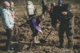 Nadleśnictwo Cewice zorganizowało Otwarte Sadzenie Lasu. Drzewka sadziła młodzież, urzędnicy, strażacy i żołnierze