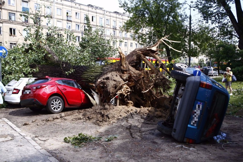 Paraliż Warszawy po nawałnicy. Połamane drzewa, zablokowane drogi i zerwane trakcje [ZDJĘCIA]
