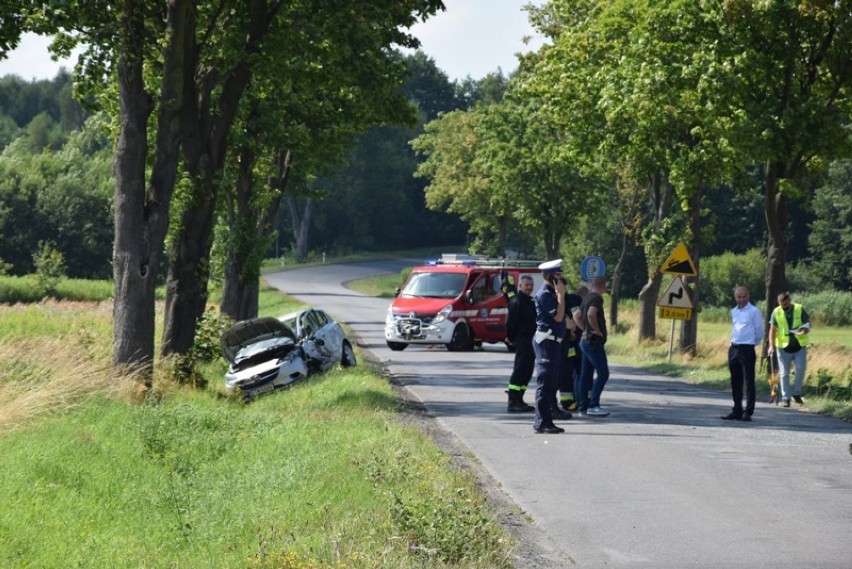 Śmiertelny wypadek w Górze Motycznej koło Dębicy [ZDJĘCIA]