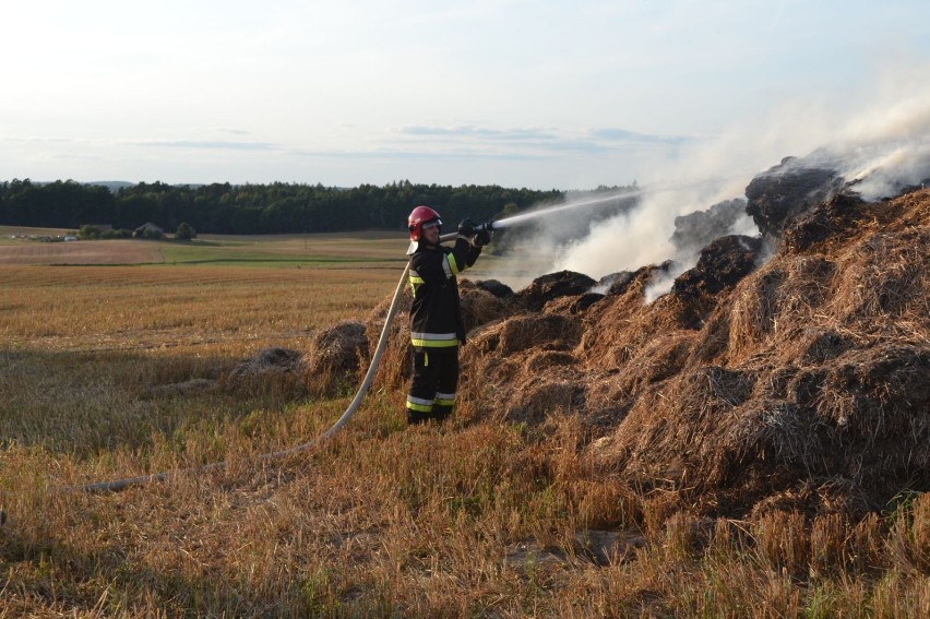 Pożar w Borczu 26-08-2015