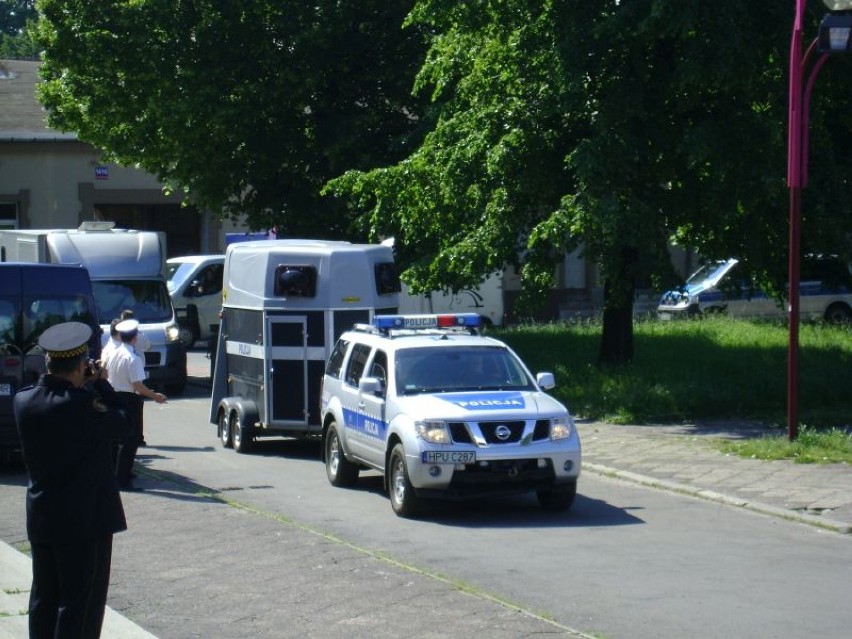 Zawody Policji Konnej w Częstochowie