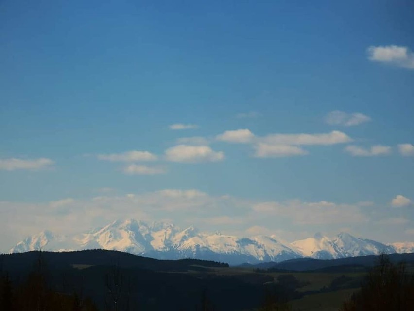 Widok na Tatry z żegiestowskiej Palenicy