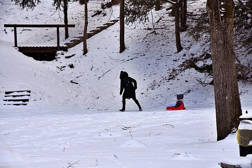 Gorlicki Park Miejski przykryty śniegiem zachęca do spacerów