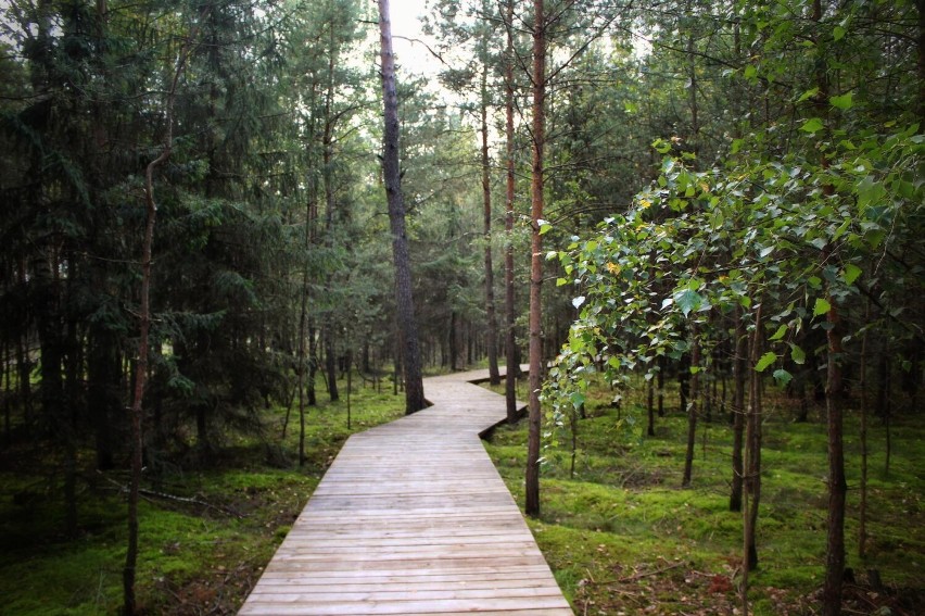 Leśna Ścieżka Edukacyjna pozwala na obejrzenie Zamku w Stobnicy!