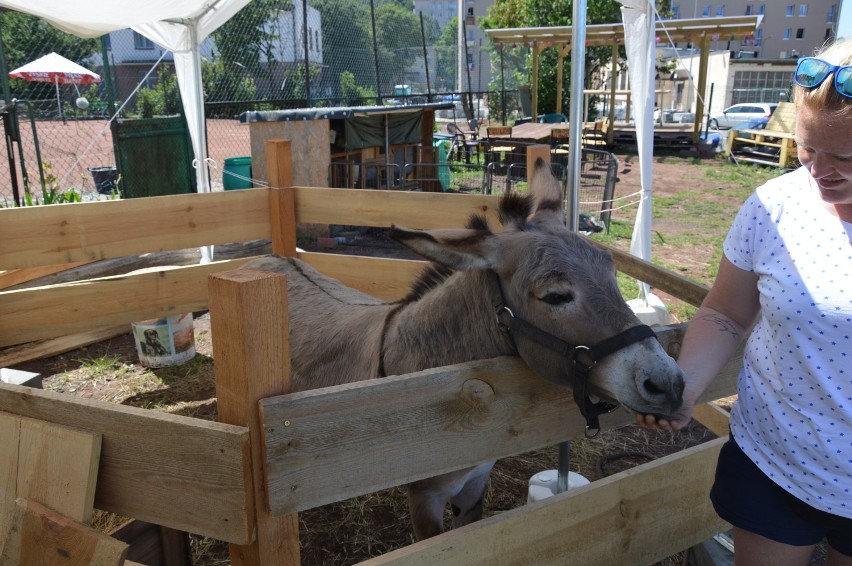 Konflikt między urzędnikami a fundacją z Chyloni odbija się na mieszkańcach