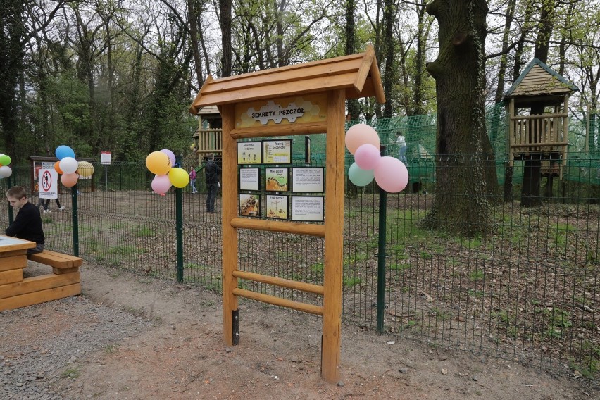 Linowy Park Zabaw w Legnickim Polu już otwarty, zobaczcie zdjęcia