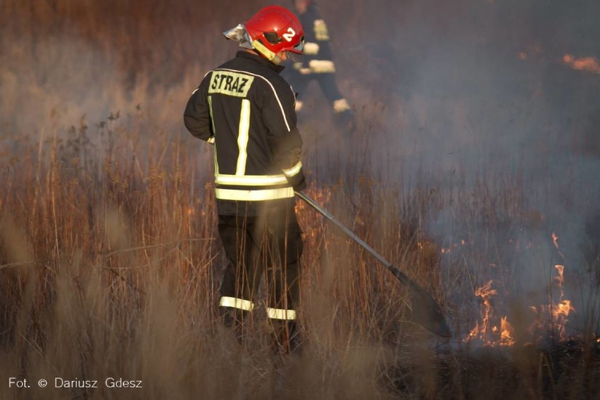 Wałbrzych: Pożary traw. Strażacy nie nadążają z gaszeniem łąk. [ZDJĘCIA] 