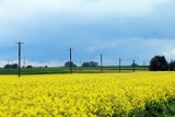 Oto najmniejsze wsie w powiecie pajęczańskim. Aż trudno uwierzyć, że żyje tam tak mało ludzi. W tych miejscowościach mieszka ich najmniej