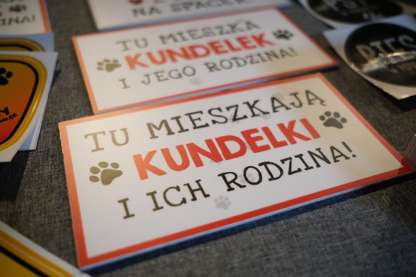 Dzień Kundelka w klubie Progresja. Wystawa czworonogów i spotkanie z psim behawiorystą
