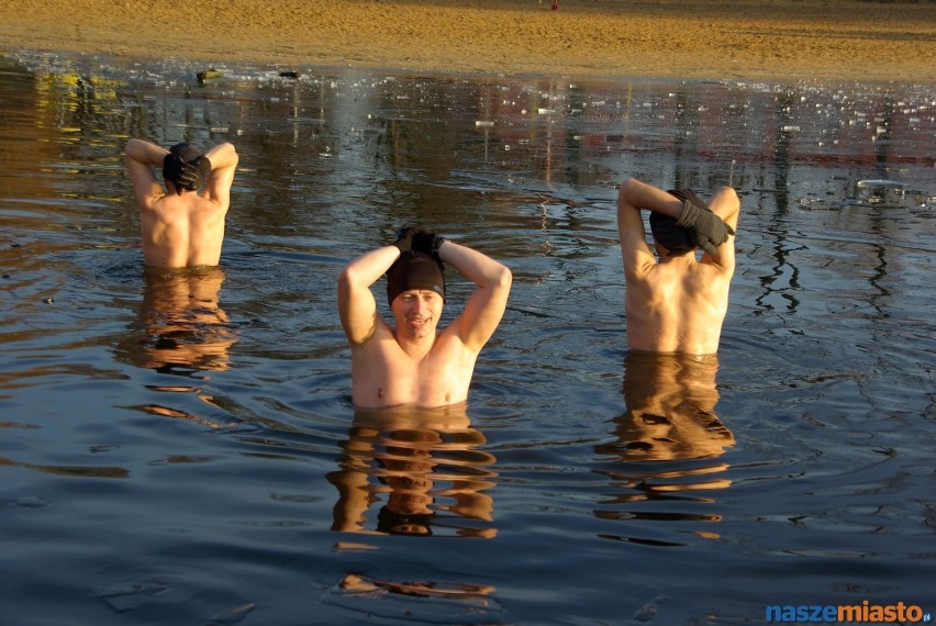 Morsy kąpią się w Osiecznej.