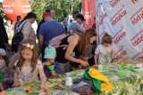 Mieszkańcy gminy Godzianów bawili się na pikniku europejskim