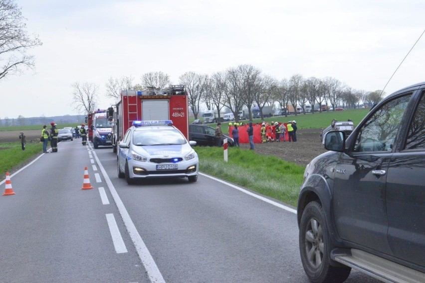 Śmiertelny wypadek na drodze w pobliżu Łuszkowa