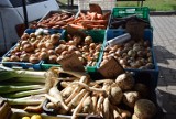 Ceny owoców i warzyw na giełdzie w Białymstoku CENY 27.08.2018 [ZDJĘCIA]
