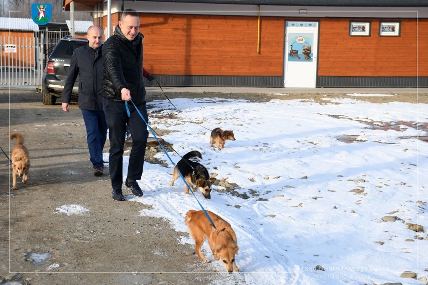 Radni nie chcą fajerwerków w Sylwestra. Co na to prezydent Handzel?