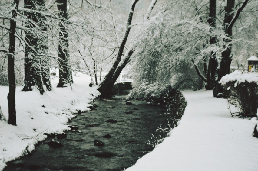 Zobacz zimowe zdjęcia z naszego regionu. Robią wrażenie! (ZDJĘCIA)