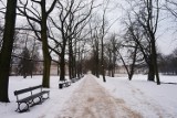 Ostrzeżenie IMGW. Wraca zima, czekają nas śnieżyce i niskie temperatury 