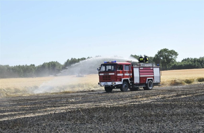 Dzisiejszy pożar pochłonął kilka hektarów zbóż