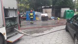 Pożar śmietnika przy ulicy Tatrzańskiej w Łodzi [ZDJĘCIA]