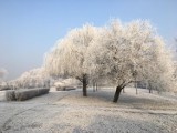 Oszroniony Będzin, zobaczcie zdjęcia internautów z Będzina