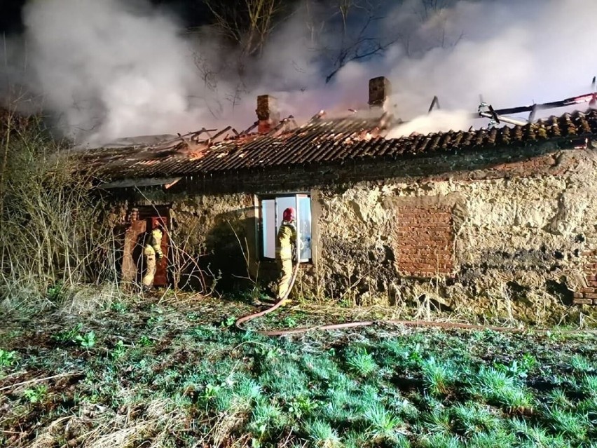 Strażacy z Radomska, Kamieńska i Gorzędowa gasili pożar...