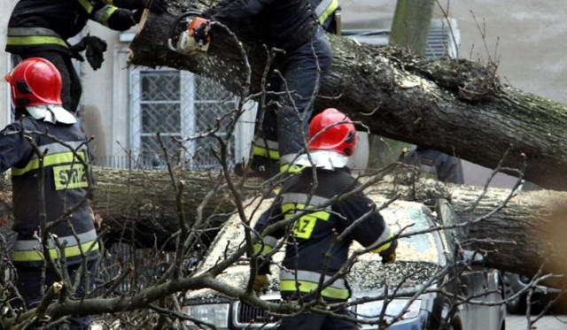 Pogoda: W ciągu dnia wichury na Lubelszczyźnie