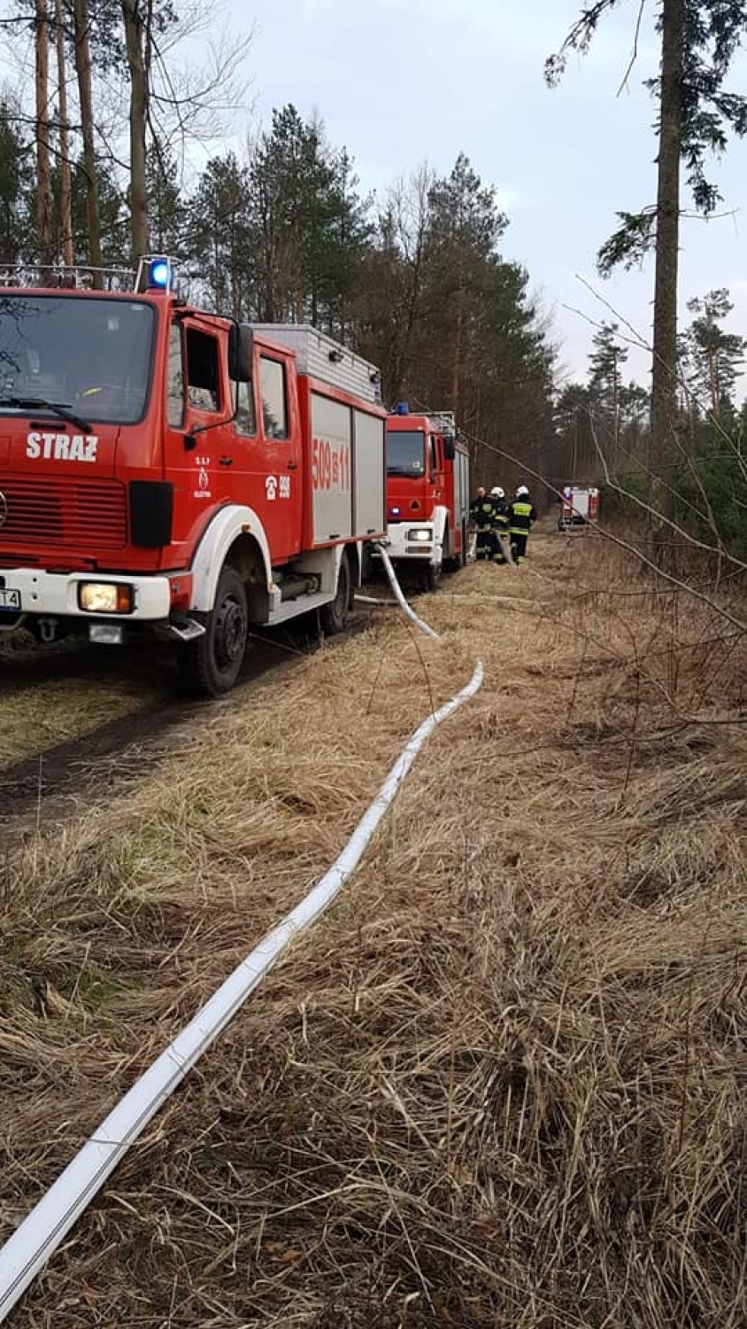 Pożar lasu w Dębowej Górze 3.04.2019.