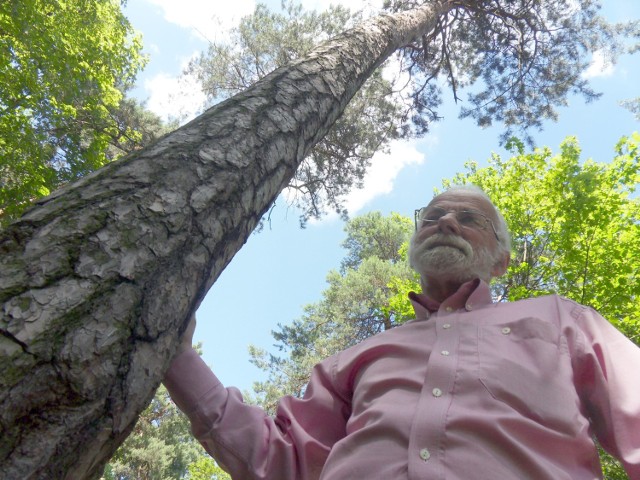 -&nbsp;40 lat temu zasadziłem sosnę, kiedy urodził mi się syn. To prawdopodobnie to drzewo - mówi pan Tadeusz Palczewski. - Pomysł sadzenia własnych drzew wydaje mi się bardzo ciekawy