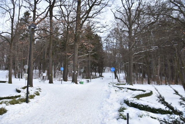 Park w Rusinowej w Wałbrzychu w zimowej szacie