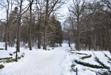 Park w wałbrzyskiej dzielnicy Rusinowa w zimowej szacie! Zobaczcie!