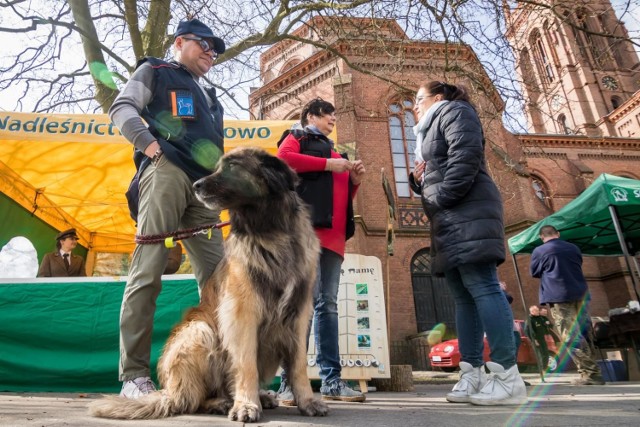 Wczoraj na Placu Wolności odbył się happening „Pachnąca Wiosna”, który wpisuje się w cykl wiosennych akcji na rzecz naszego najbliższego otoczenia, osiedlowych parków, skwerów czy alejek. Akcja ma na celu przypomnienie właścicielom zwierząt o ciążących na nich obowiązkach sprzątania nieczystości po swoich pupilach. To także doskonała okazja, żeby nauczyć dzieci ostrożności i odpowiedniego zachowania w stosunku do obcych psów. Kolejny happening w ramach "Pachnącej Wiosny" już we wtorek, 24 kwietnia, przy ulicy Polanka 13 w pobliżu „Balatonu”, w godzinach od 10:00 do 13:00.
Organizatorami akcji jest Straż Miejska wraz z Radą Osiedla Bocianowo Śródmieście Stare Miasto, Radą Osiedla Bartodzieje, Schroniskiem dla Zwierząt w Bydgoszczy, Biurem Zarządzania Gospodarką Odpadami Komunalnymi Urzędu Miasta w Bydgoszczy, Wydziałem Gospodarki Komunalnej Urzędu Miasta w Bydgoszczy, Nadleśnictwem Żołędowo oraz KynoPark – pozytywne szkolenie psów. 

Do 19 kwietnia będzie ciepło i wiosennie (źródło TVN/X-News):
