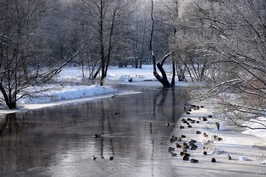 Tak wygląda zima w Łasku i gminie Łask ZDJĘCIA                         