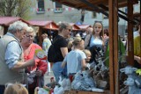 Tłumy na majowym jarmarku w Sławie. Na dwudniowej imprezie jest blisko 70 wystawców. Zdjęcia 