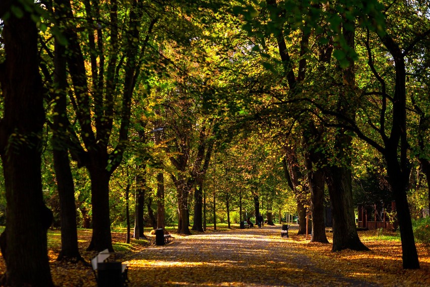 Park Skaryszewski zachwyca jesienią