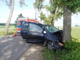 Wypadek w powiecie braniewskim. Samochód uderzył w drzewo [zdjęcia]