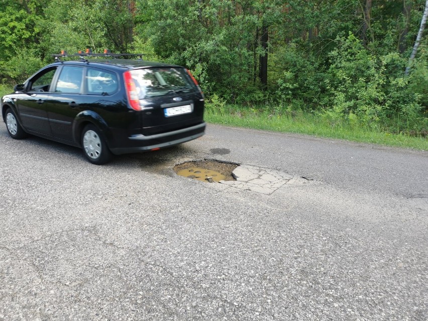 Droga prowadząca do ośrodka Chechło w Trzebini