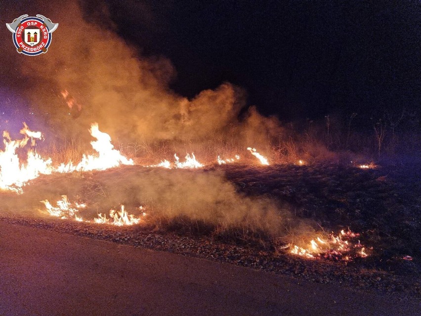 Coraz więcej pożarów suchych traw w powiecie radomszczańskim. Strażacy w weekend interweniowali ponad 20 razy