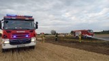 Na polu w Starym Redzeniu paliło się zboże. Strażacy ugasili pożar w nieco ponad pół godziny