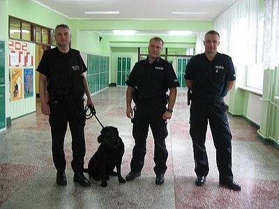 Policja Żory: Funkcjonariusze z Żor i Izby Celnej z psem sprawdzali, czy są narkotyki w szkole