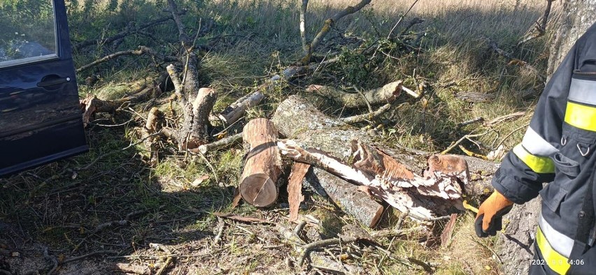 Drzewo spadło na samochód w gminie Rzeczenica