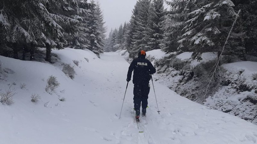 Patrole narciarskie w miejscach chronionych. Policjanci i leśnicy na trasach
