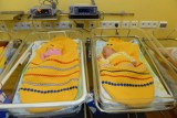 Noworodki w poznańskim szpitalu wyglądają jak świąteczne pisanki [ZDJĘCIA]