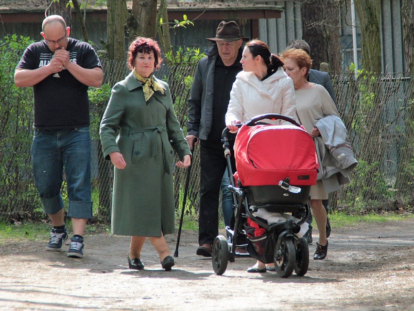 Grudziądzki Klub Morsów zakończył sezon w lany poniedziałek