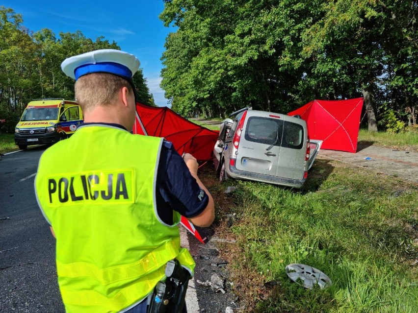 Śmiertelny wypadek niedaleko Leszna. Między Augustowem a Rydzyną na drodze 309 zginął kierowca osobówki ZDJĘCIA