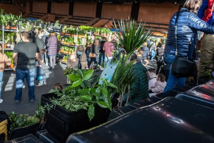 Festiwal Roślin to okazja do kupienia różnych kwiatów...