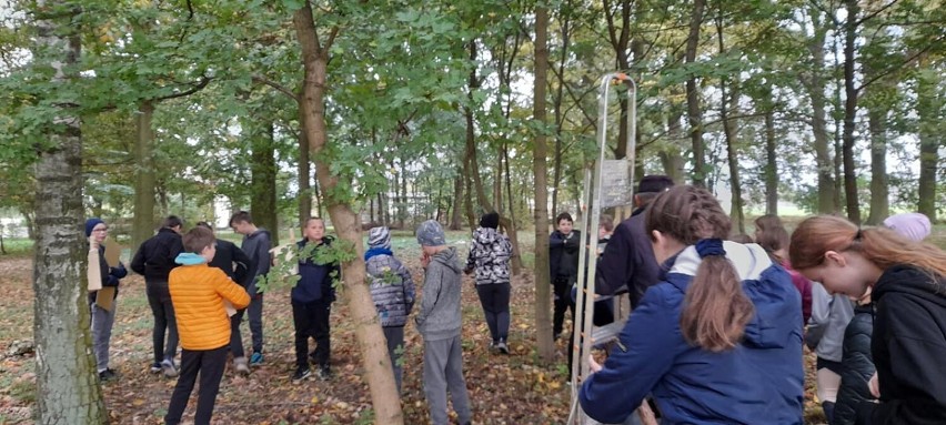 W Jedlcu dzieci zawiesiły na drzewach budki lęgowe dla ptaków
