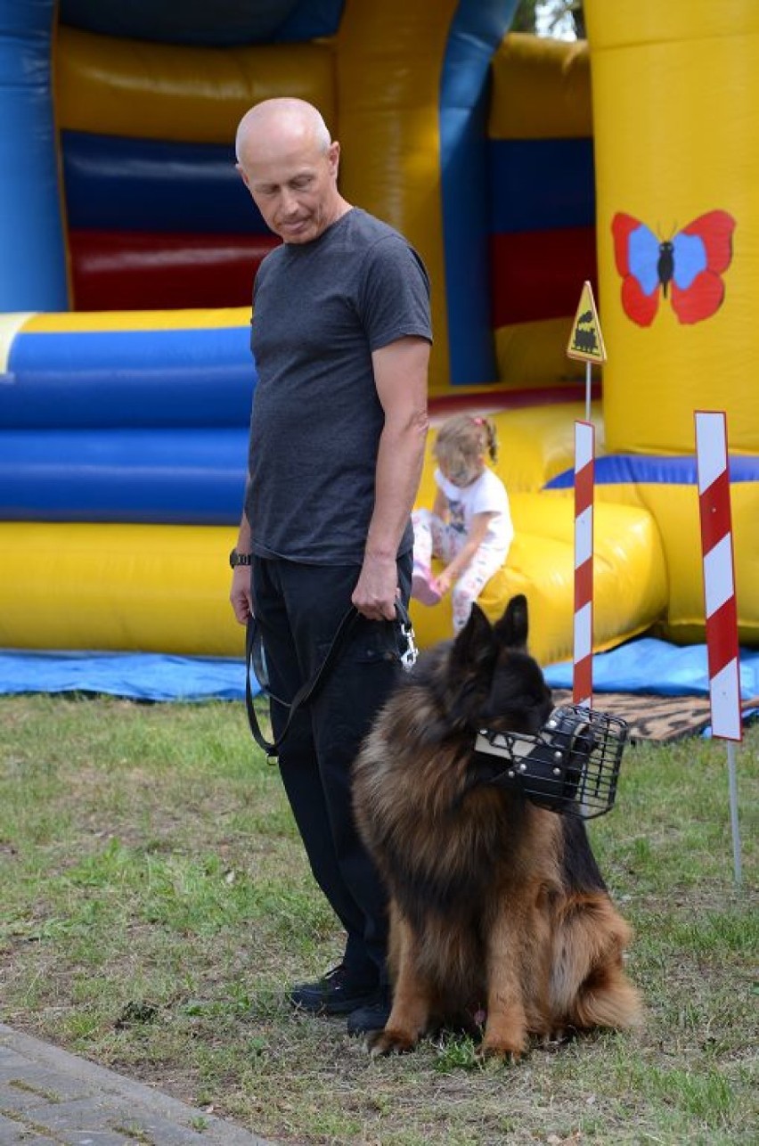 Stefanowice. Pikniku rodzinnego Żyj zdrowo – jedz kolorowo - 8 czerwca 2019